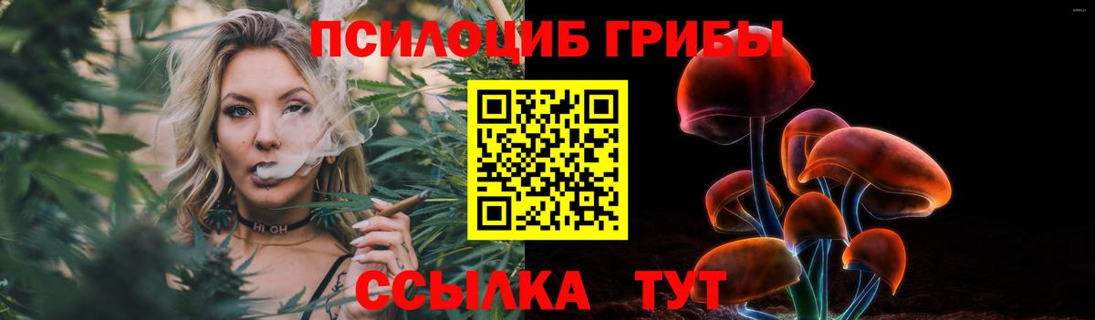 Вольск  Псилоцибиновые грибы Magic Shrooms  Вход с VPN 